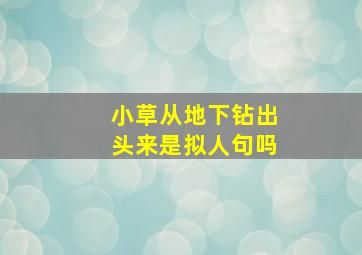 小草从地下钻出头来是拟人句吗