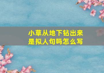 小草从地下钻出来是拟人句吗怎么写