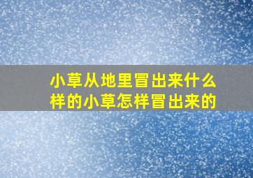 小草从地里冒出来什么样的小草怎样冒出来的