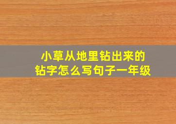 小草从地里钻出来的钻字怎么写句子一年级