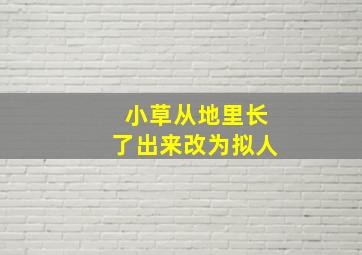 小草从地里长了出来改为拟人