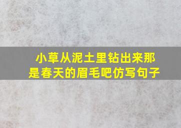 小草从泥土里钻出来那是春天的眉毛吧仿写句子