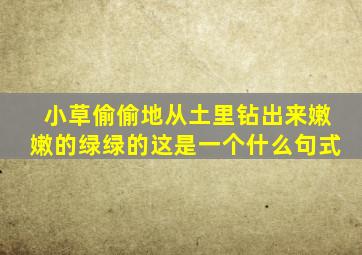 小草偷偷地从土里钻出来嫩嫩的绿绿的这是一个什么句式