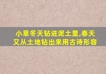 小草冬天钻进泥土里,春天又从土地钻出来用古诗形容