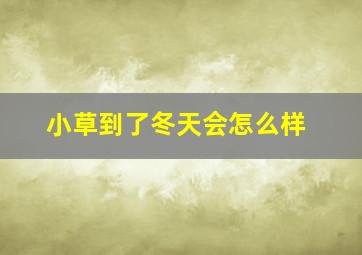 小草到了冬天会怎么样