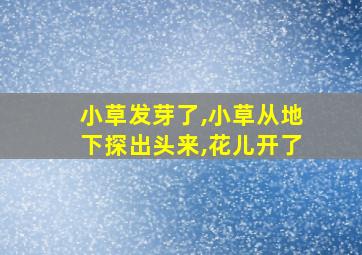 小草发芽了,小草从地下探出头来,花儿开了