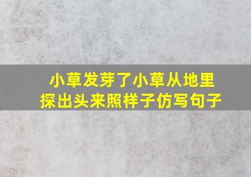 小草发芽了小草从地里探出头来照样子仿写句子