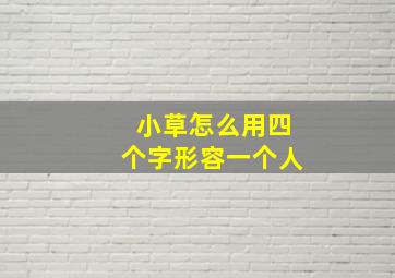 小草怎么用四个字形容一个人