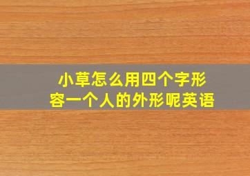 小草怎么用四个字形容一个人的外形呢英语