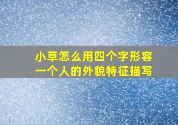 小草怎么用四个字形容一个人的外貌特征描写