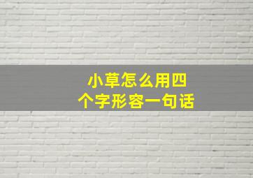 小草怎么用四个字形容一句话