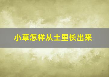 小草怎样从土里长出来