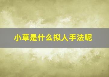 小草是什么拟人手法呢