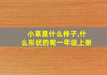 小草是什么样子,什么形状的呢一年级上册