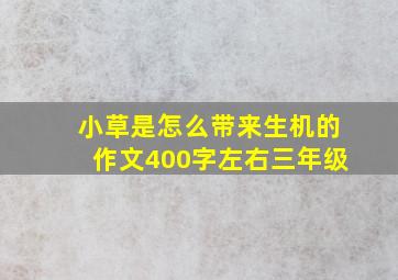 小草是怎么带来生机的作文400字左右三年级