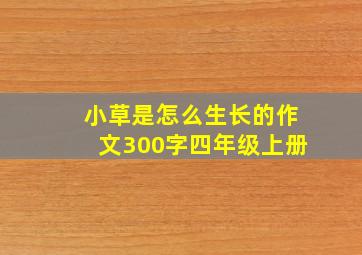 小草是怎么生长的作文300字四年级上册