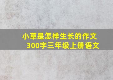 小草是怎样生长的作文300字三年级上册语文