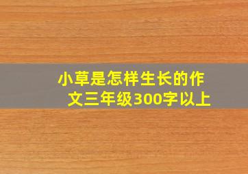 小草是怎样生长的作文三年级300字以上