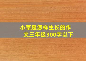 小草是怎样生长的作文三年级300字以下