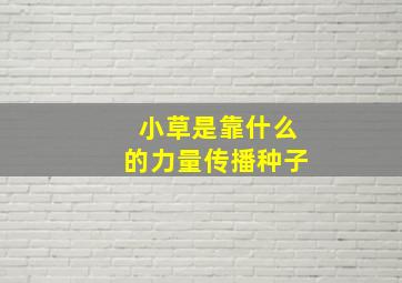 小草是靠什么的力量传播种子