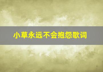 小草永远不会抱怨歌词