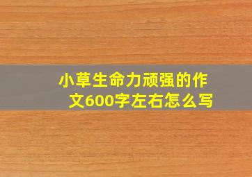 小草生命力顽强的作文600字左右怎么写