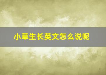 小草生长英文怎么说呢