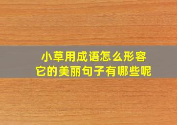 小草用成语怎么形容它的美丽句子有哪些呢