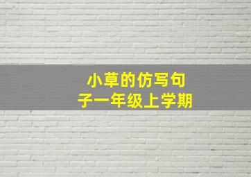 小草的仿写句子一年级上学期