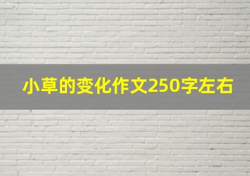 小草的变化作文250字左右