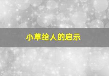 小草给人的启示