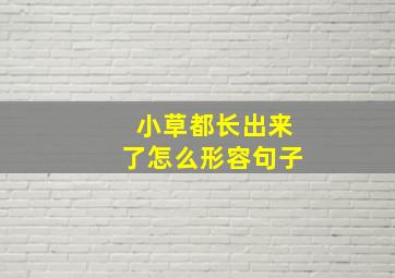 小草都长出来了怎么形容句子