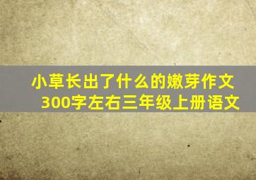 小草长出了什么的嫩芽作文300字左右三年级上册语文