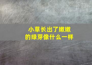 小草长出了嫩嫩的绿芽像什么一样