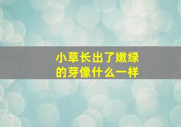 小草长出了嫩绿的芽像什么一样