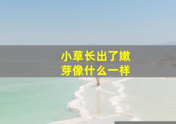 小草长出了嫩芽像什么一样