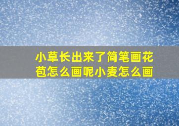 小草长出来了简笔画花苞怎么画呢小麦怎么画