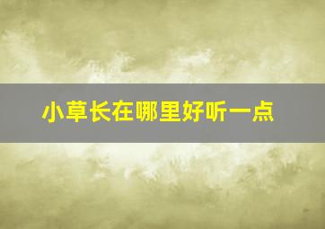 小草长在哪里好听一点