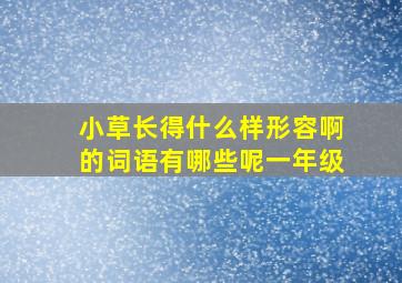 小草长得什么样形容啊的词语有哪些呢一年级