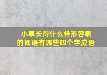 小草长得什么样形容啊的词语有哪些四个字成语