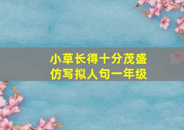 小草长得十分茂盛仿写拟人句一年级