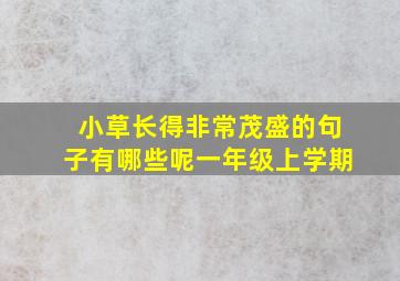 小草长得非常茂盛的句子有哪些呢一年级上学期