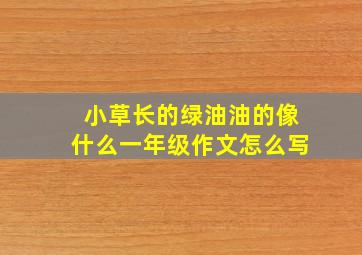 小草长的绿油油的像什么一年级作文怎么写