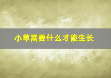 小草需要什么才能生长