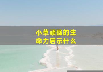 小草顽强的生命力启示什么