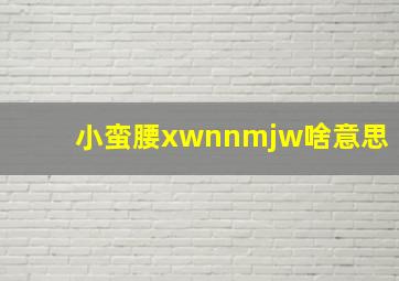 小蛮腰xwnnmjw啥意思