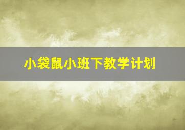 小袋鼠小班下教学计划