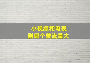 小视频和电视剧哪个费流量大