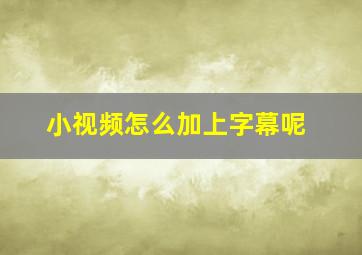 小视频怎么加上字幕呢