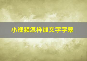 小视频怎样加文字字幕